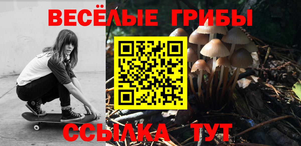 Псилоцибиновые грибы мицелий  Псилоцибиновые грибы прущие грибы  Киров  Вход с VPN 